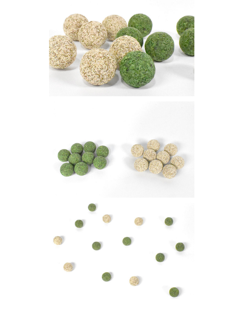 Catnip / Silvervine Teeth Cleaning Beans 5pcs-3