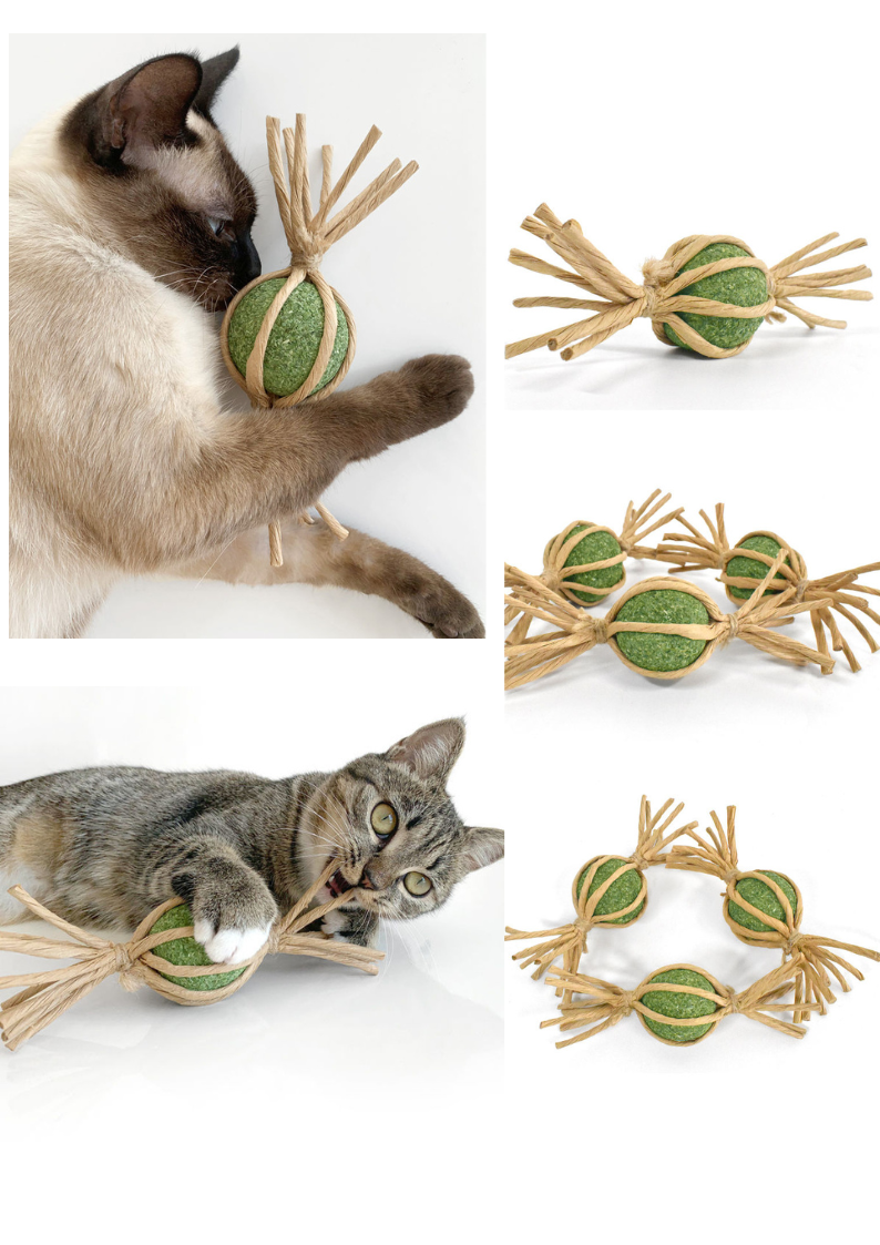 Woven Silvervine Gall Fruit Candy With Catnip Ball-3