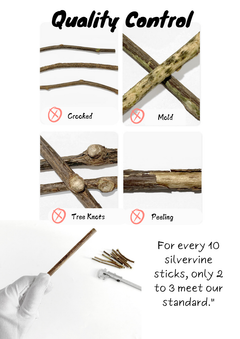 Silvervine Sticks-3
