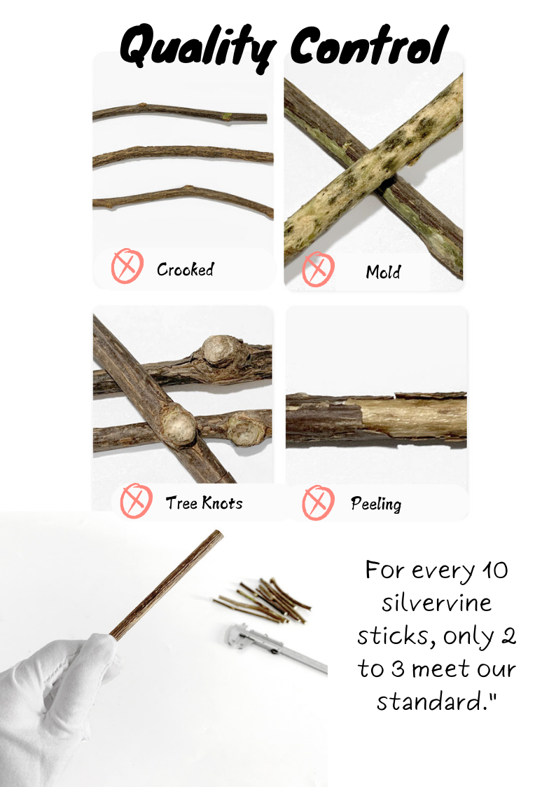 Silvervine Sticks-3