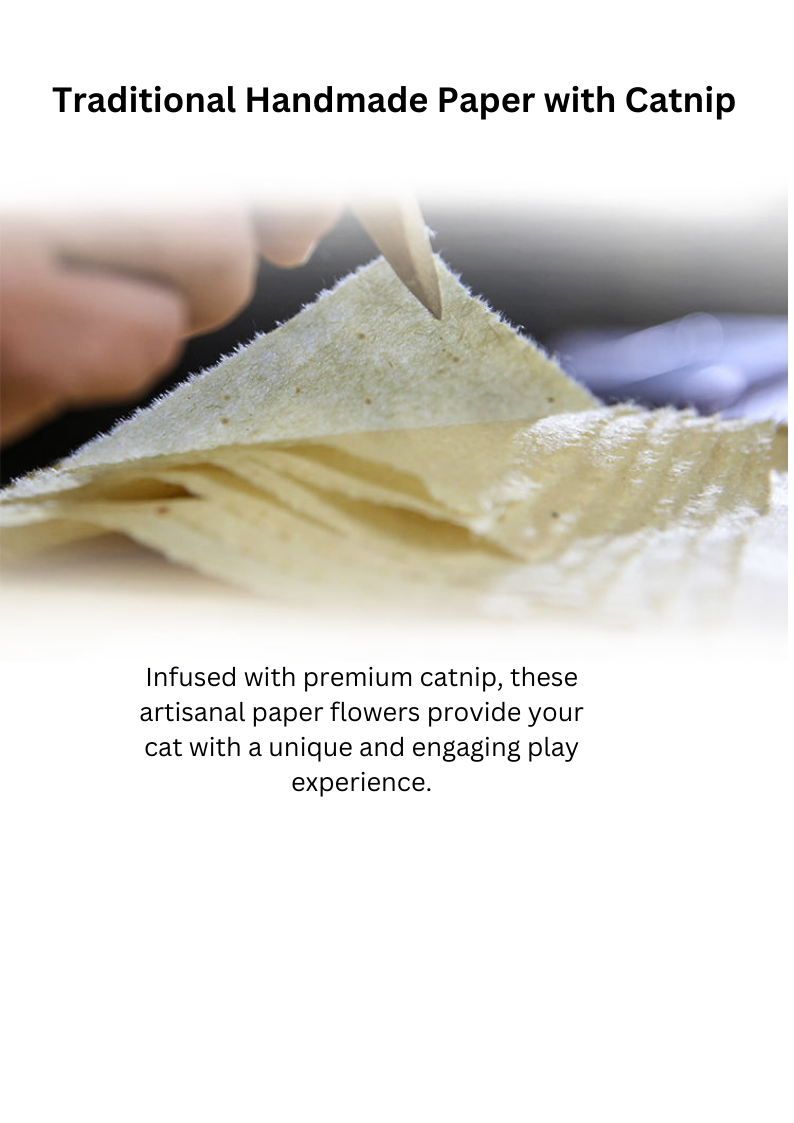 Catnip Paper Flower-4