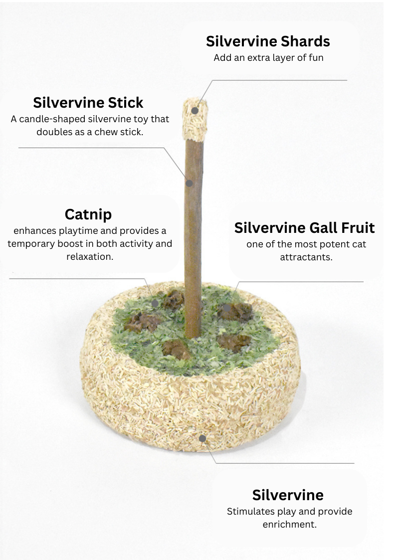 Silvervine Birthday Cake-3