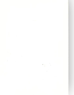 Foundation Cardstock  25 shts 220 gsm - Milk White-1