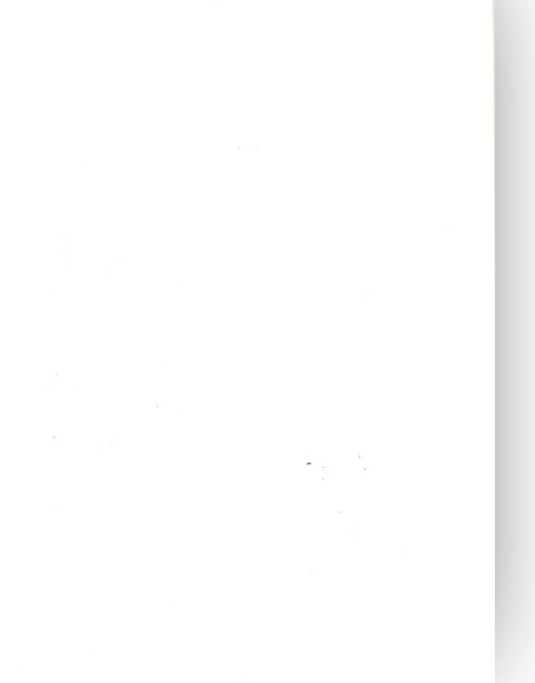 Foundation Cardstock  25 shts 220 gsm - Milk White-1