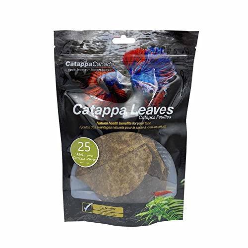Catappa Leaves Small 25 Pack-1