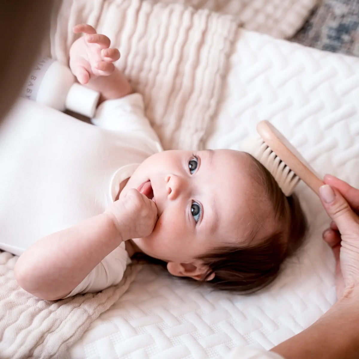Wooden Brush & Comb Set | Pip + Phee-2