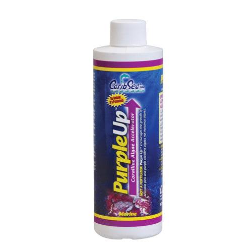 CaribSea PurpleUp-1