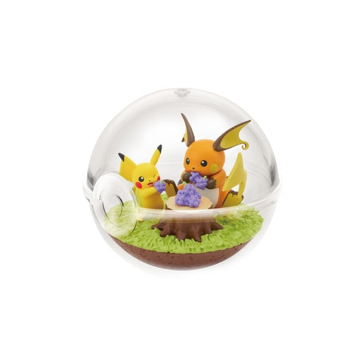 Pokemon Terrarium Collection 14 (1 Random Box) (Re-ment Blind Box)-3
