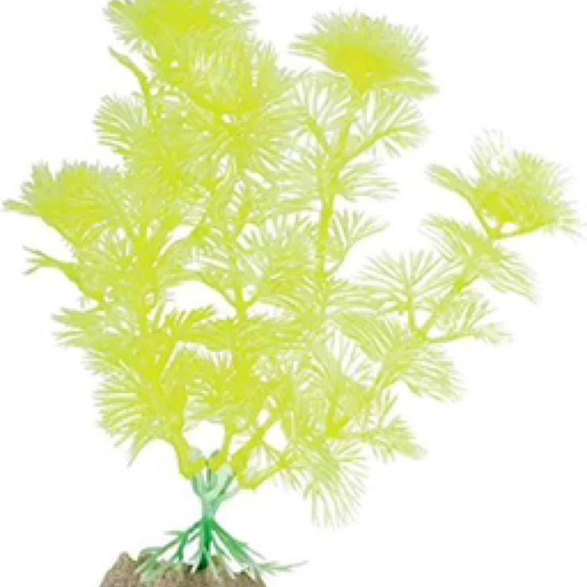 Glofish Plant medium Yellow Fluorescent-1