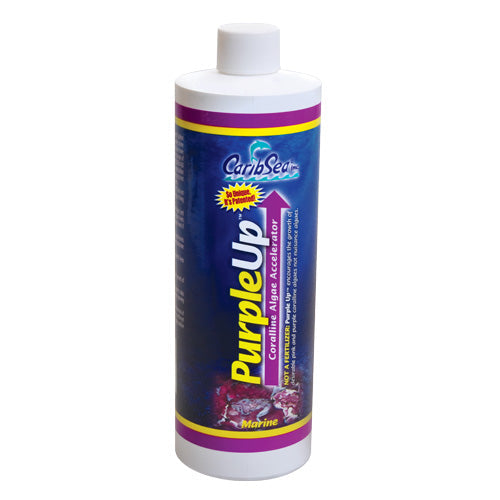 CaribSea PurpleUp-2