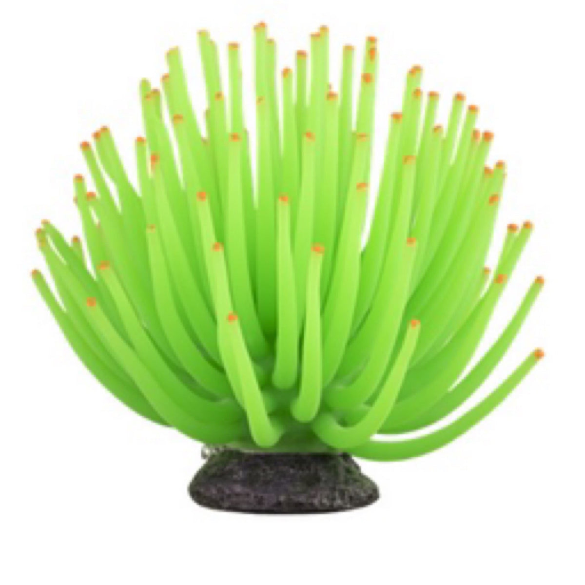 Glofish Ornament Green Anemone-1