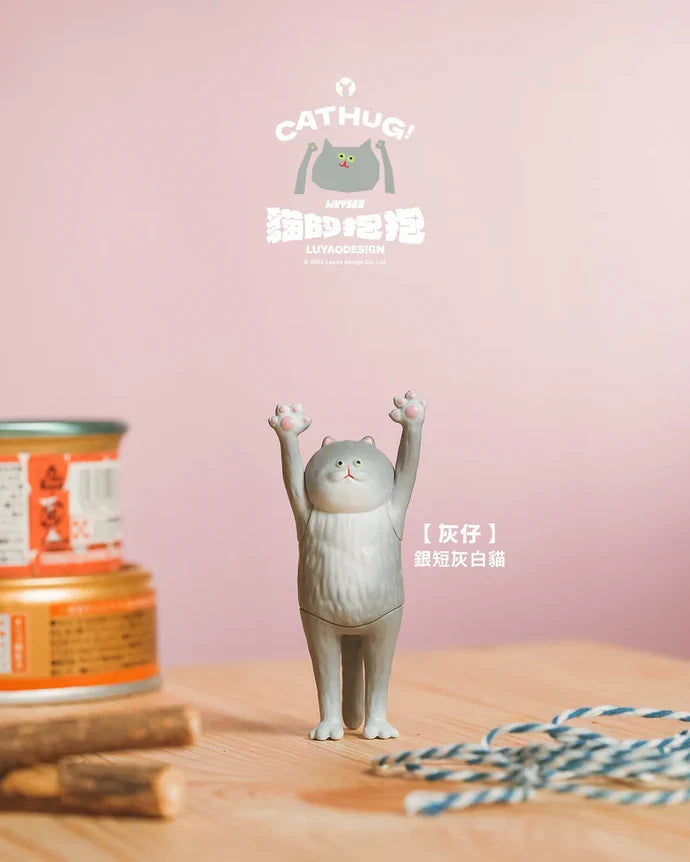 The Hugging Cat Series Blind Box (1 Random Box)-20