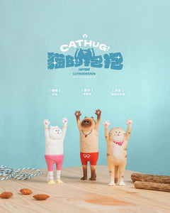 The Hugging Cat Series Blind Box (1 Random Box)-4