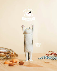 The Hugging Cat Series Blind Box (1 Random Box)-5