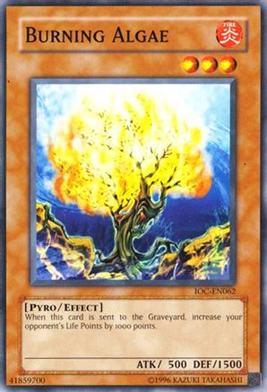 Burning Algae (IOC-EN062) - Invasion of Chaos (Worldwide English) Unlimited