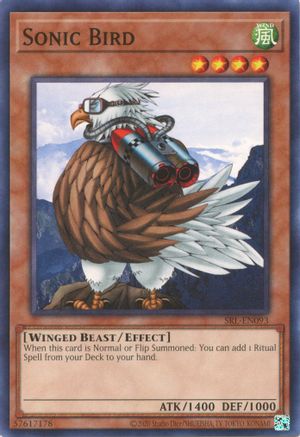 Sonic Bird (SRL-EN093) - Spell Ruler (25th Anniversary Edition) Unlimited-1