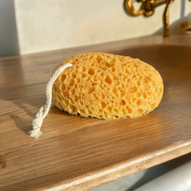 Hanging Sponge-2