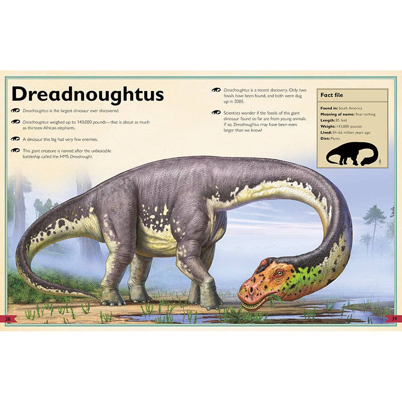 Insight Editions - The Magnificent Book of Dinosaurs - Ages 6+-4