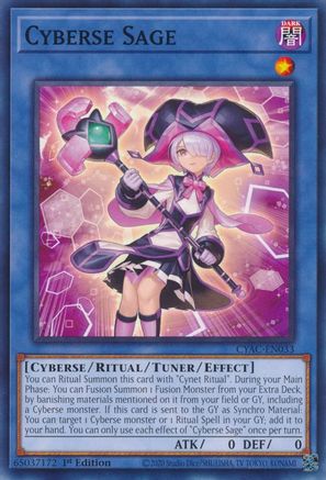 Cyberse Sage (CYAC-EN033) - Cyberstorm Access 1st Edition-1