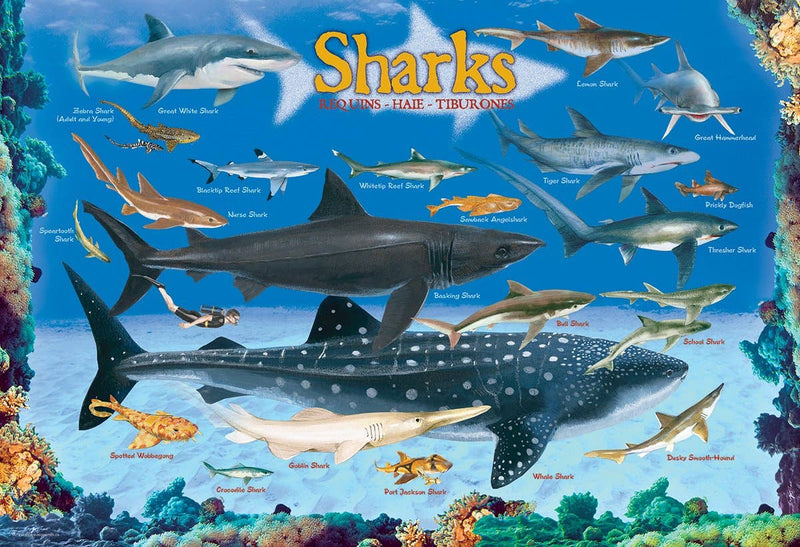 Eurographics Sharks 100-Piece Puzzle - Ocean Life - Ages 5+-2
