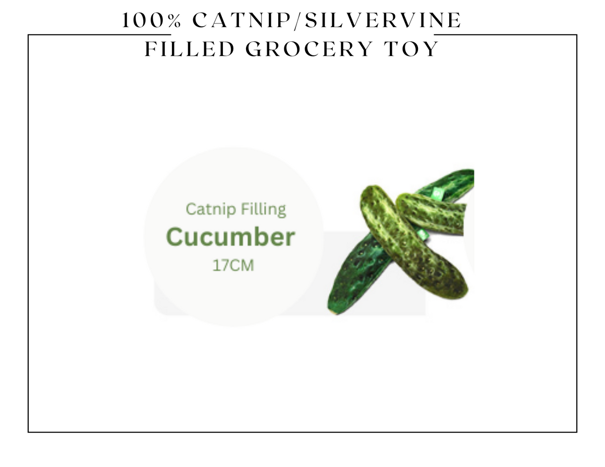 100% Silvervine/Catnip Filled Grocery Cuddle Toy-8