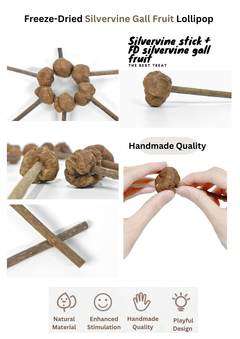 Freeze Dried Silvervine Gall Fruit Toys-4