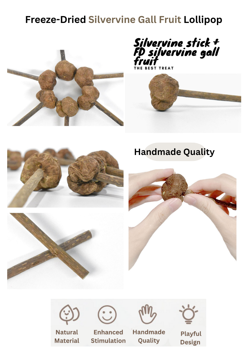 Freeze Dried Silvervine Gall Fruit Toys-4