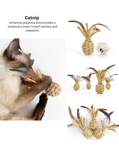 Woven Catnip Pineapple-4