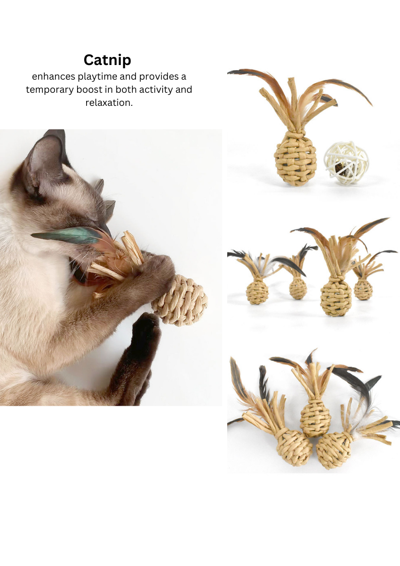 Woven Catnip Pineapple-4