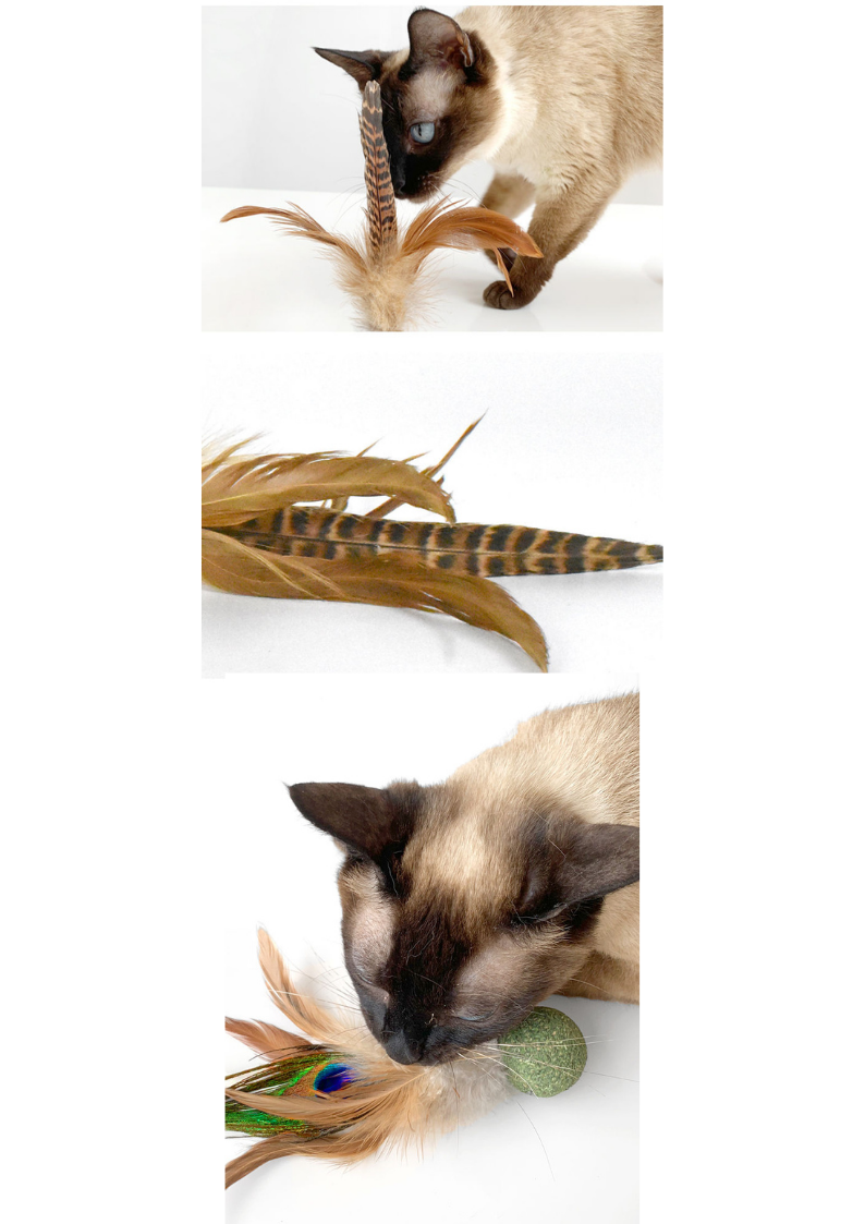 Silvervine / Catnip Birdie-4