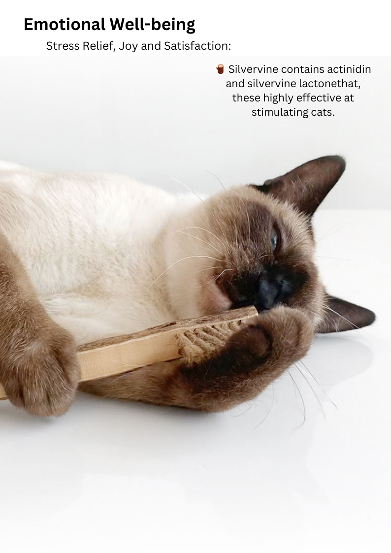 Silvervine Toothbrush-4
