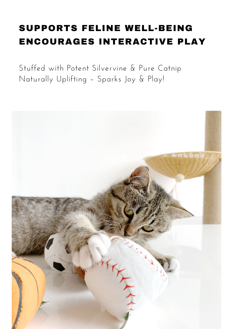 100% Silvervine/Catnip Filled Sport Ball Set - 4-Pack-5