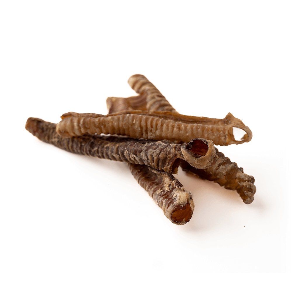 5-7" Lamb Trachea-1