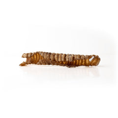 5-7" Lamb Trachea-2