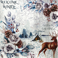 Winter Journey Deluxe Paper Silver 6"x6" 5/Pkg-2