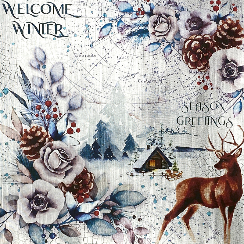 Winter Journey Deluxe Paper Silver 6"x6" 5/Pkg-2