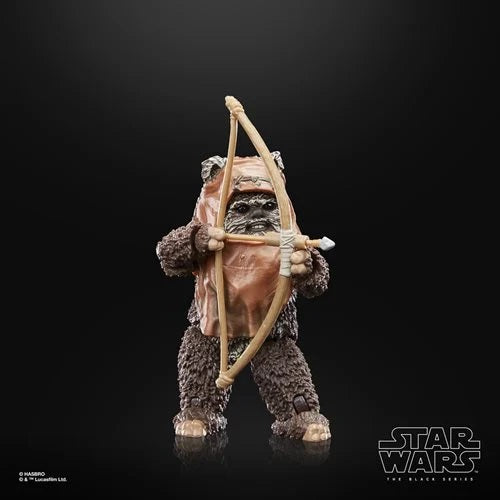 Star Wars The Black Series ROTJ 40th Anniversary Wicket 6" (5010996133151)