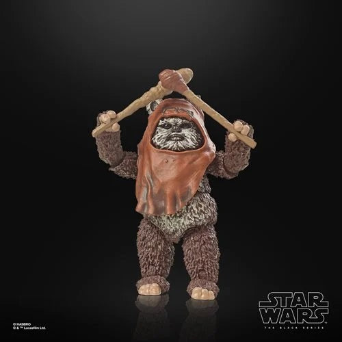 Star Wars The Black Series ROTJ 40th Anniversary Wicket 6" (5010996133151)