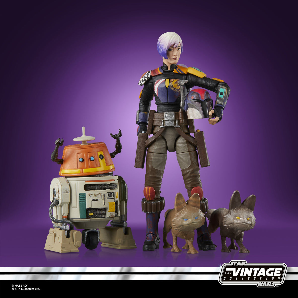 Star Wars Rebels- Sabine Wren & Chopper