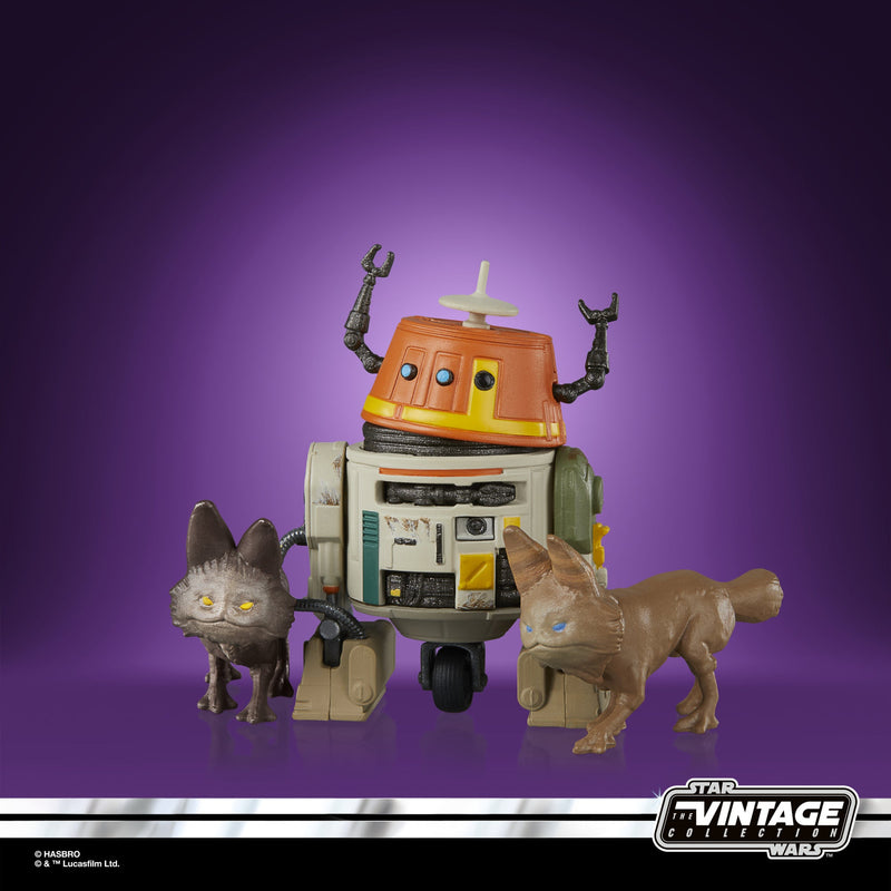 Star Wars Rebels- Sabine Wren & Chopper-3