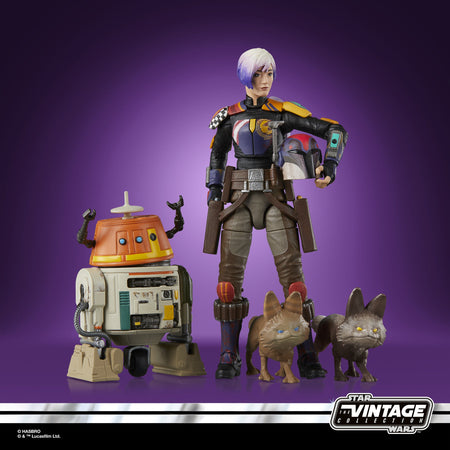 Star Wars Rebels- Sabine Wren & Chopper-7