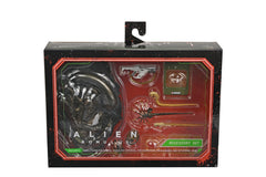 Alien: Romulus - Accessory Set-2
