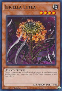 Ibicella Lutea (VASM-EN052) - Valiant Smashers 1st Edition-1