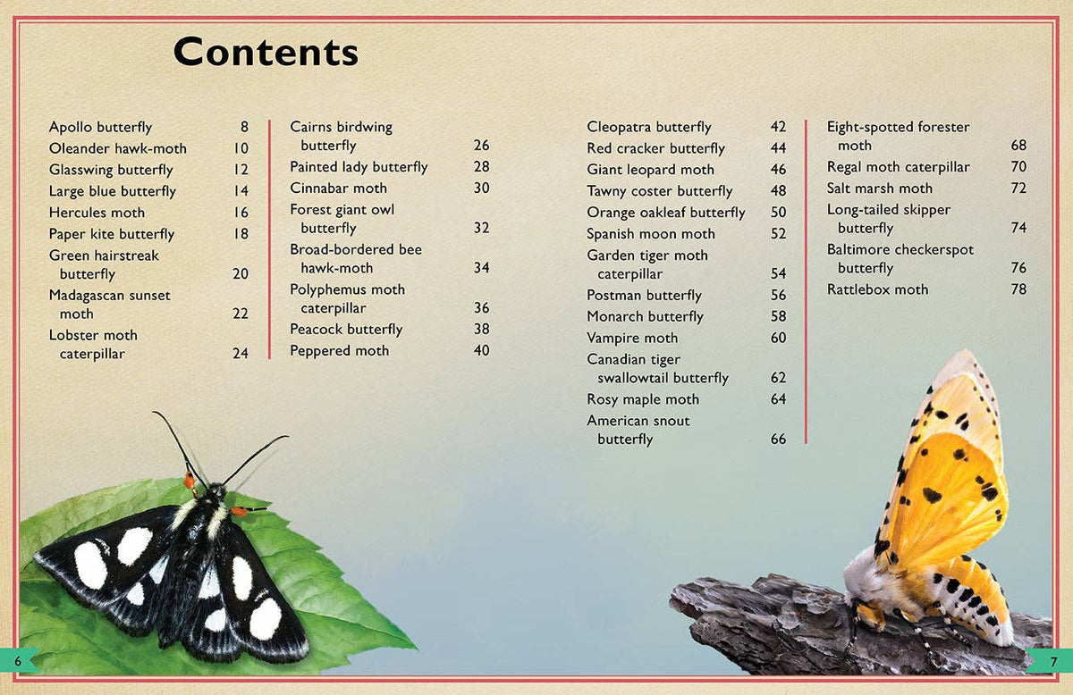 Insight Editions - The Magnificent Book of Butterflies & Moths - Ages 6+-3