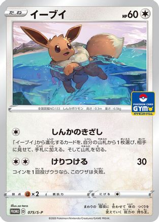 [JP] Eevee - 075/S-P (075/S-P) - SP Sword  Shield Promos-1