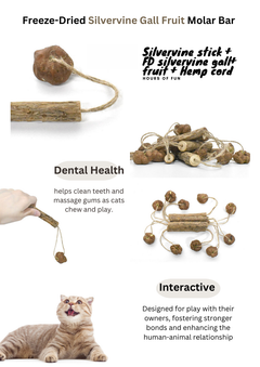 Freeze Dried Silvervine Gall Fruit Toys-5