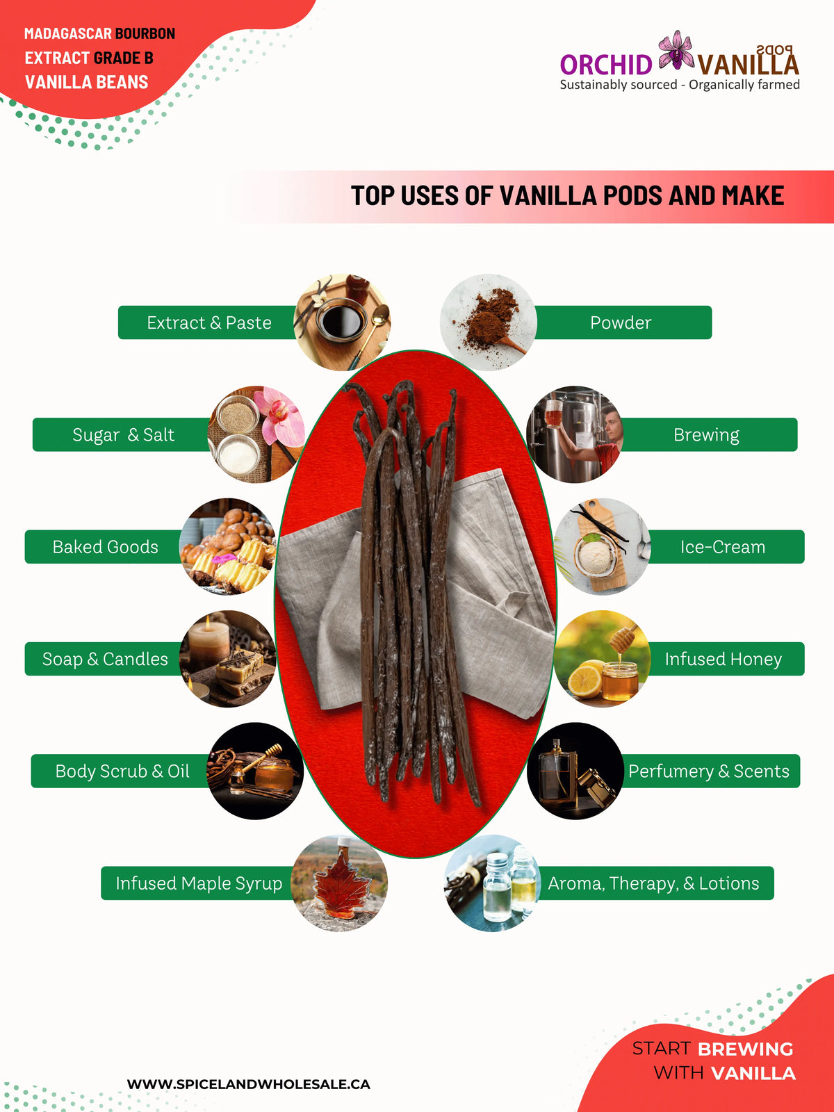 Madagascar Bourbon Extract Vanilla Beans Grade-B <br>For Extract Making<BR>By Count-5