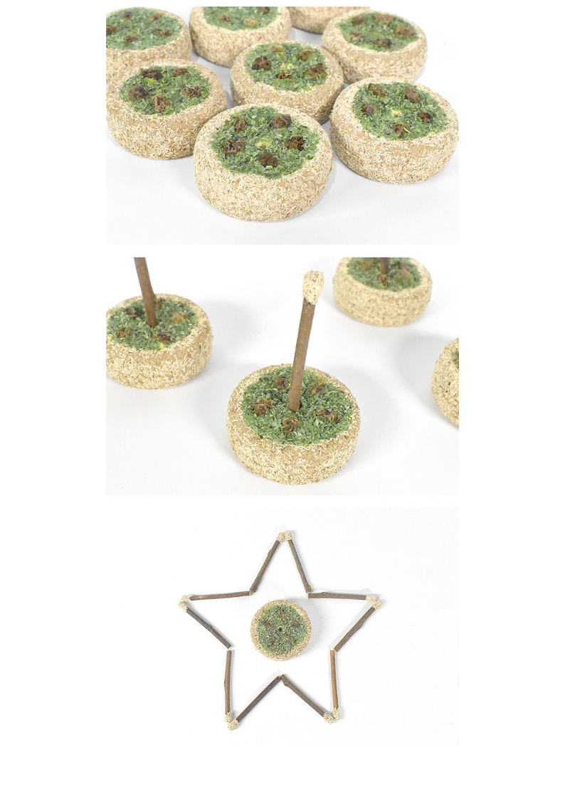 Silvervine Birthday Cake-5
