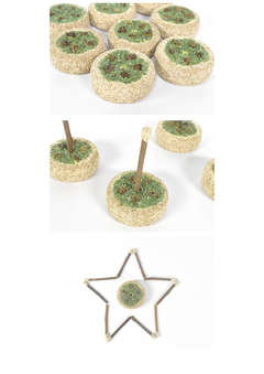 Silvervine Birthday Cake-5