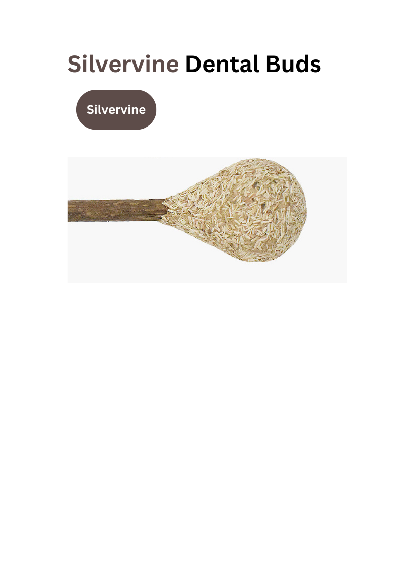 Catnip / Silvervine Dental Buds-5